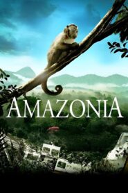 Amazonia. Przygody małpki Sai