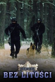 Bez litości