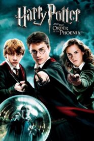 Harry Potter i Zakon Feniksa