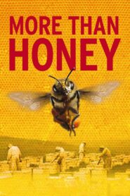 Więcej niż miód