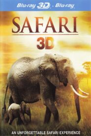 Safari 3D