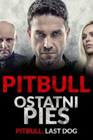 Pitbull. Ostatni pies