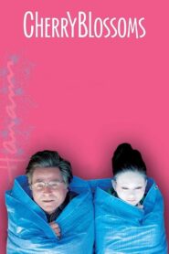 Hanami – Kwiat wiśni